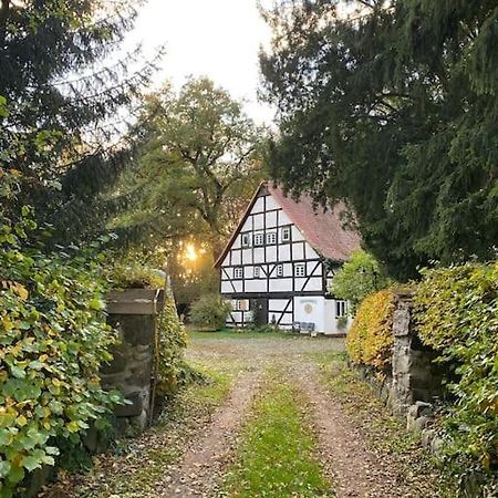 Wassermuehle Triglitz - Alleinlage Fuer Retreats, Workshops, Family & Friends 외부 사진