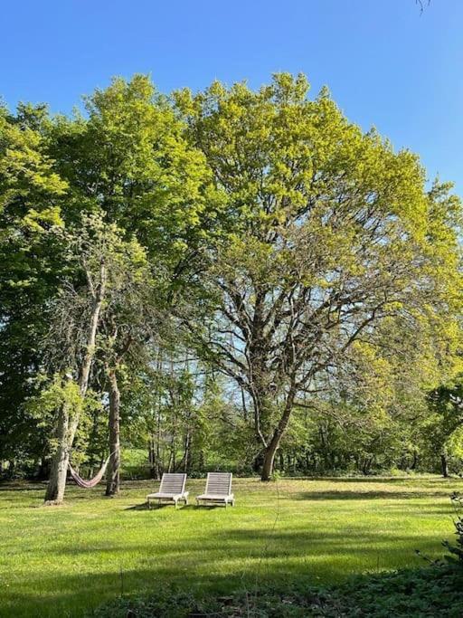 Wassermuehle Triglitz - Alleinlage Fuer Retreats, Workshops, Family & Friends 외부 사진
