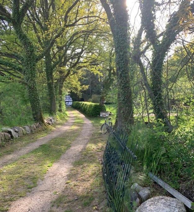 Wassermuehle Triglitz - Alleinlage Fuer Retreats, Workshops, Family & Friends 외부 사진