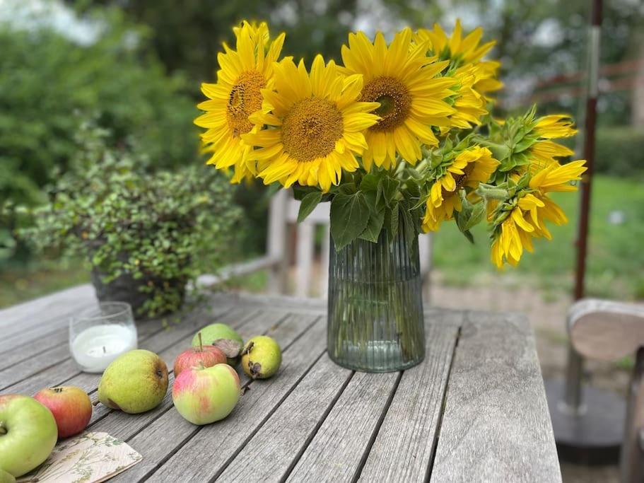 Wassermuehle Triglitz - Alleinlage Fuer Retreats, Workshops, Family & Friends 외부 사진