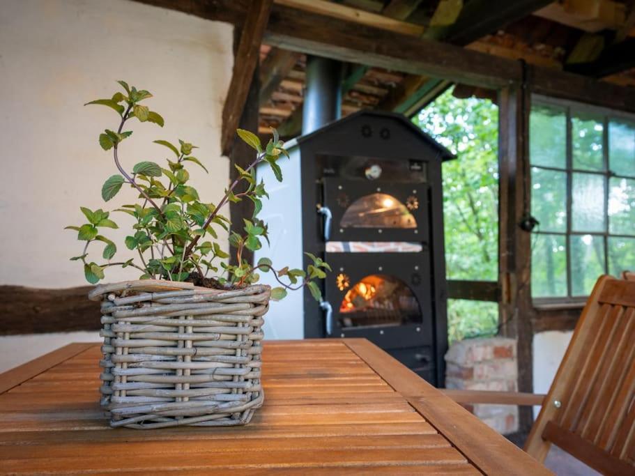 Wassermuehle Triglitz - Alleinlage Fuer Retreats, Workshops, Family & Friends 외부 사진