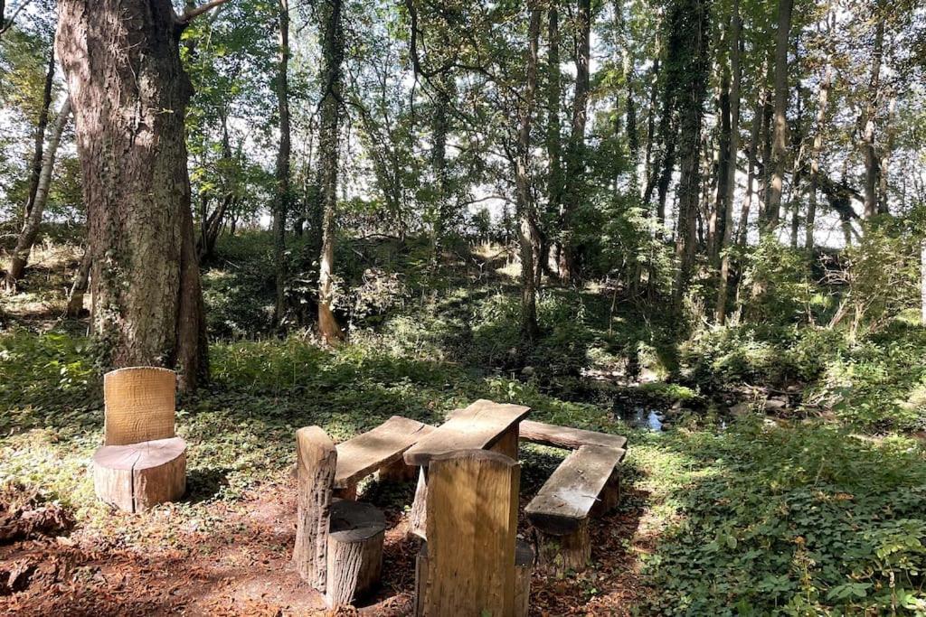 Wassermuehle Triglitz - Alleinlage Fuer Retreats, Workshops, Family & Friends 외부 사진